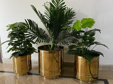Golden planters set of 3